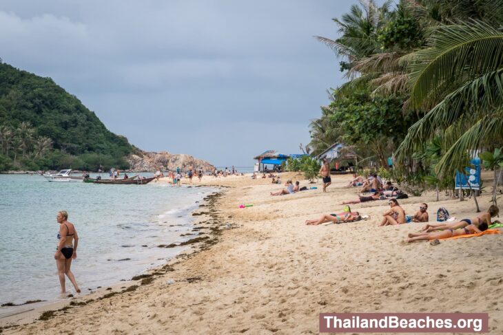 Mae Haad: The Iconic Beach of Koh Phangan