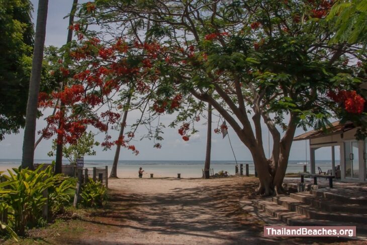 Nahai Beach Samui