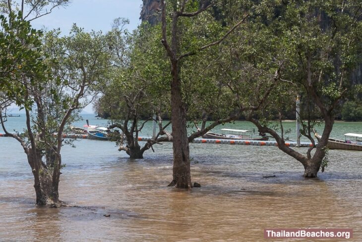 East Railay Beach: A Shoreline Not Meant for Swimming