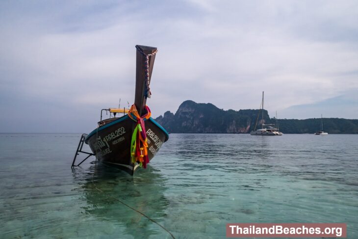 Monkey Beach is a monkey paradise on Phi Phi Don!