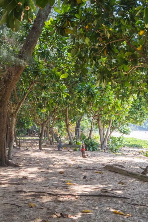 Naithon Beach: The Smallest Beach in Northern Phuket