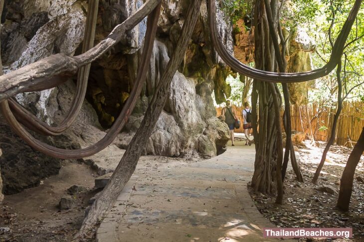 Phranang Cave Beach: The Best Swimming Spot in Krabi